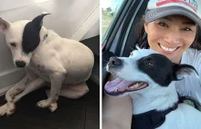 Kobieta z lękiem przed psami jako terapie zaadoptowała psa, który bał się ludzi