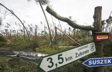 Tragedia w Suszku. Organizatorzy obozu harcerskiego nie przyznają się do...