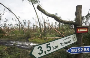 Tragedia w Suszku. Organizatorzy obozu harcerskiego nie przyznają się do...