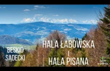 Beskid Sądecki: Hala Łabowska i Hala Pisana