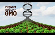 Pierwsza roślina GMO (1986) | Krótka historia inżynierii genetycznej