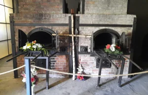ŻYDÓW drażni ustawiony krzyż przy piecach krematoryjnych w Sztutowie