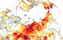 Zmiany klimatu: Upały w Arktyce. Zanotowano rekordowe 38° Celsjusza.