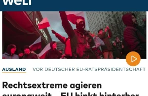 W Die Welt artykuł o niemieckich neonazistach. Na zdjęciu polskie flagi.