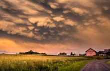 Mammatus, zwisające worki, wymiona