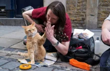 Smutne wiadomości z UK: "nie żyje kot, który uratował człowieka przed nałogiem"