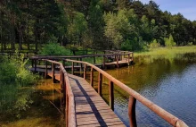 Park Narodowy Bory Tucholskie - leśne szlaki, atrakcje i inne ciekawostki.