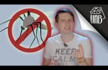 Czy powinniśmy zabić wszystkie komary?