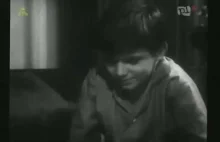 Echo 1964 film polski