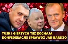 Tusk i Giertych też kochają Konfederację! Sprawdź jak bardzo