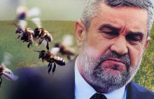 Prokuratura zajmie się Ardanowskim. Bo dopuścił środek trujący pszczoły