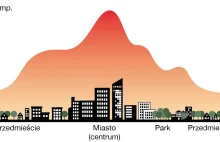 Miejska wyspa ciepła. Co zrobić, żeby miasta nas nie ugotowały?