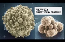 Pierwszy syntetyczny organizm (2010) | Krótka historia inżynierii genetycznej