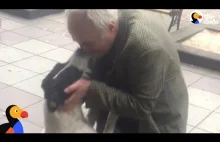 Mężczyzna odnajduje swojego psa po 3 latach rozłąki