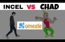 Chad vs Incel na Omegle. Jak reagują kobiety?
