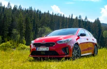 #TEST - KIA ProCeed GT 1.6 T-GDI 204 KM - to dalej ta sama marka?