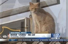 Nie podobali im się politycy - w ramach protestu - wybrali na burmistrza.. kota.
