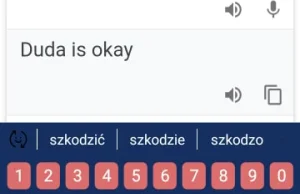 Duda i Trzaskowski w Google Translator - porównanie ( ͡° ͜ʖ ͡°)