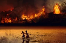 Amazonia płonie częściej niż w tragicznym ubiegłym roku.