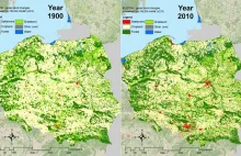 W ciągu wieku zazielenienie Polski wzrosło aż o 30%