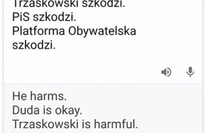 Google Tłumacz / Translator decyduje, co szkodzi, a co "jest okej".