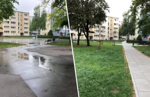 Metamorfoza podwórek w Warszawie. Zieleń zajmuje miejsce asfaltu