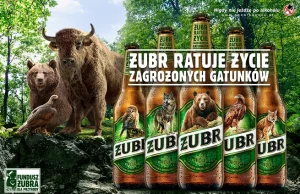 Żubr ponownie zmienia etykiety swoich piw celem ratowania zagrożonych gatunków.