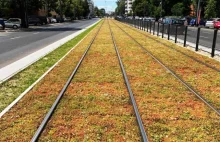 Warszawa: Tramwaje mkną już po rozchodniku na Grochowskiej