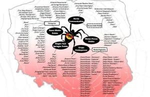 Niemieckie media zdominowały Polskę i dyktują wynik wyborów