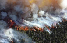 Pożary w Arktyce powodują rekordową emisję gazów do atmosfery