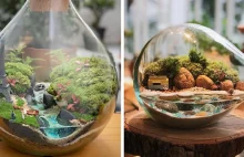Artyści umieszczają mikro, samowystarczalne ekosystemy w szklanych pojemnikach