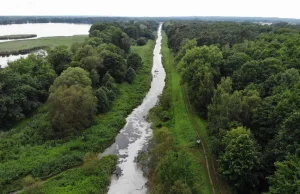 60 km zatrutej rzeki Barycz. A Ministerstwo Środowiska milczy.