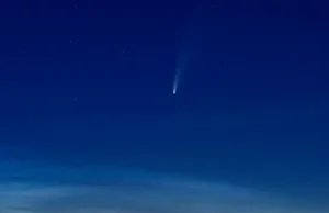 Kometa NEOWISE na polskim niebie. Dostrzeżemy ją gołym okiem - Polsat News