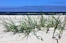 Najlepsze plaże są w ... Polsce - Stowarzyszenie RKW