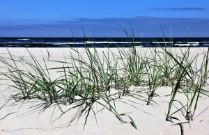 Najlepsze plaże są w ... Polsce - Stowarzyszenie RKW