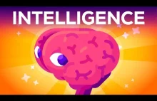 Czym jest inteligencja? - [Kurzgesagt][EN]