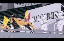 Wspaniałe, czy zapowiedź koszmaru? Roboty jako kibice tańczą w Japonii na...