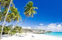 Mieszkaj i pracuj na rajskim Barbadosie przez rok