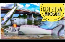 Mazury 2020 - Król Sielaw przy moście drogowym w Mikołajkach