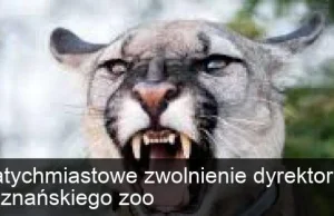 Natychmiastowe zwolnienie dyrektor poznańskiego zoo