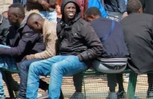 Francja nad wyraz "ubogacona": rządowy raport alarmuje, iż imigranci...