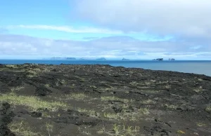 Surtsey w lipcu 2020 roku - galeria zdjęć i opisy od biologa Pawła...