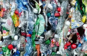 Plastik jest wszędzie. Nawet w deszczu