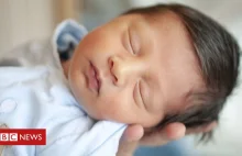 'Jaw-dropping' world fertility rate crash expected