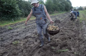 Rolnicy z Podkarpacia ofiarami wygranej Andrzeja Dudy? "Przykre, ale nie...