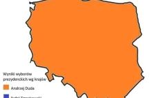 Wynik wyborów z podziałem na kraje