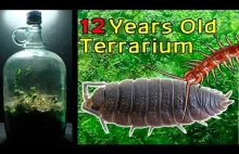 12-letnie terrarium - życie w zamkniętym słoju, Ponad dekadę w izolacji