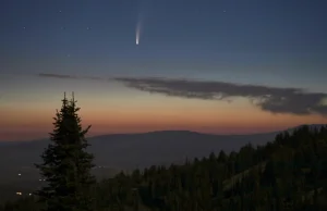 Jak zaobserwować kometę NEOWISE