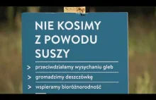 Tabliczki informujące o nie koszeniu traw w Gdańsku.