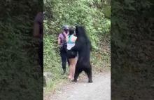 Niedźwiedź próbuje się zaprzyjaźnić